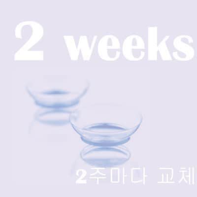 렌즈직구-렌즈고고